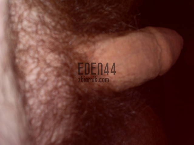 eden44