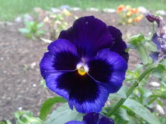 20130602_182715.jpg