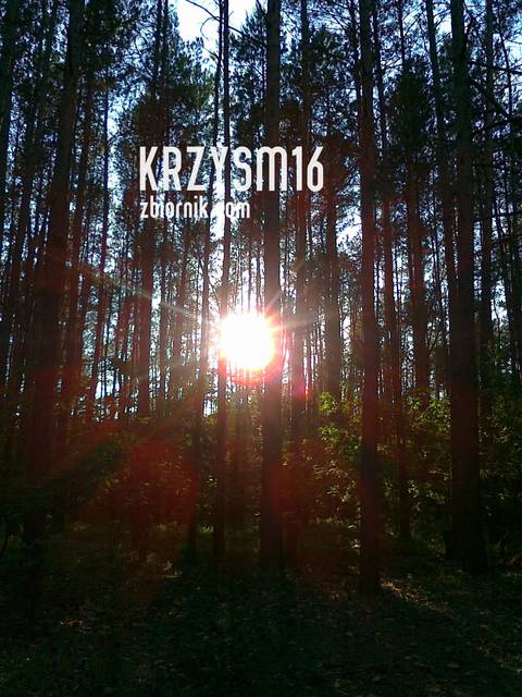 Zdjęcie311.jpg - krzysm16