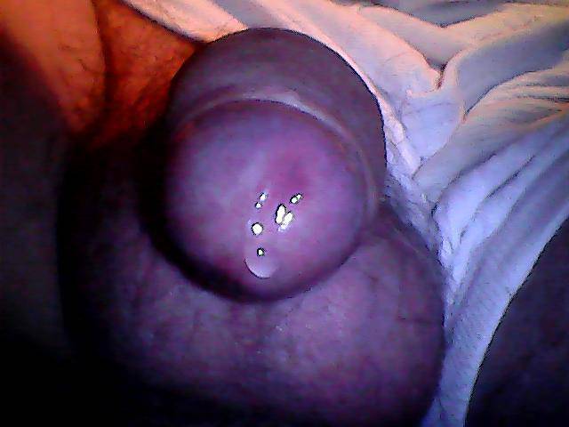 Obraz 198.jpg - czupurek