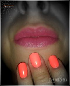Usta #04