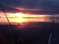 IMG_4502.JPG
