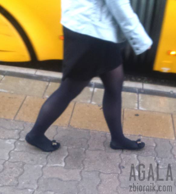 DSC_2164cz.jpg - AGALA