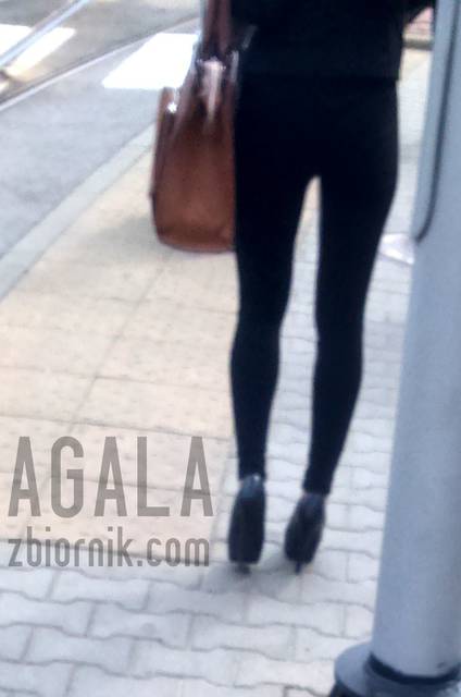 DSC_20730L.jpg - AGALA