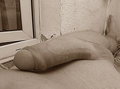 21.JPG