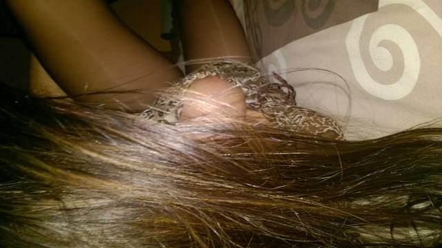 WP_20150710_100.jpg - ciekawa41