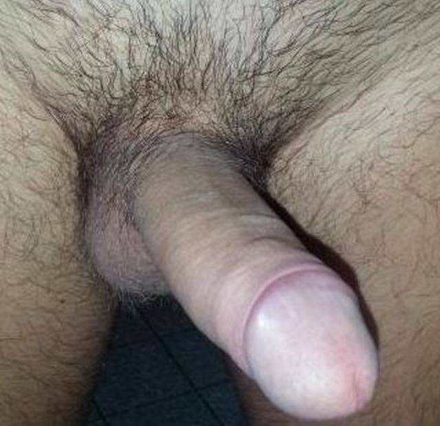 9928414.jpg - jalodzikzagan