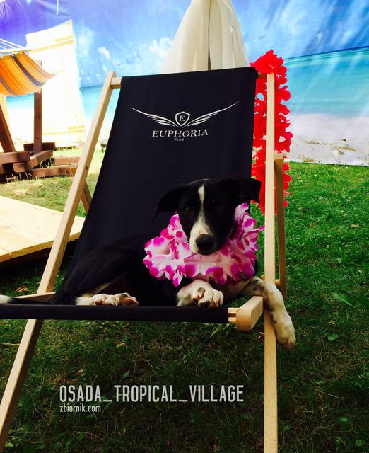 Taka sytuacja :D - OSADA_TROPICAL_VILLAGE