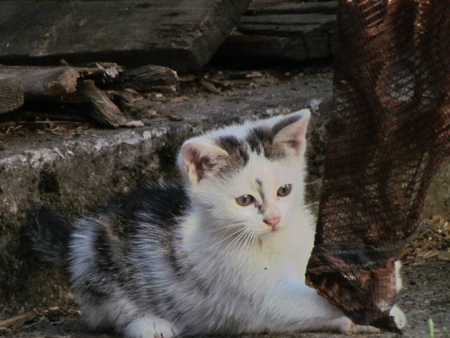 co tam..... - wodnik50