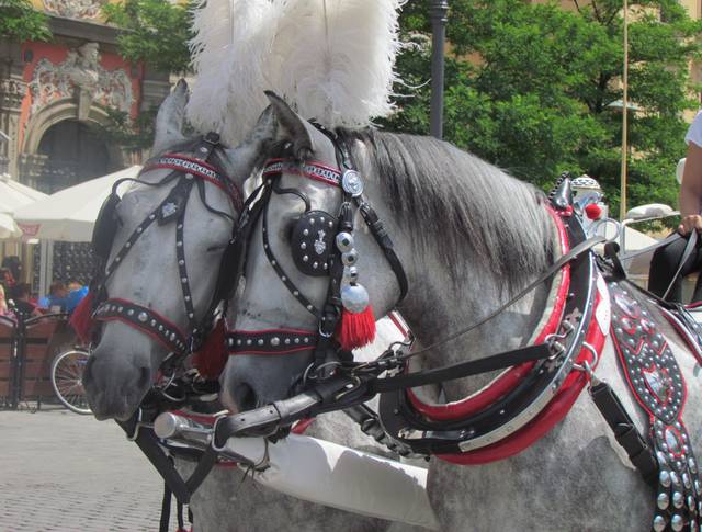 jak miło mów..... - wodnik50