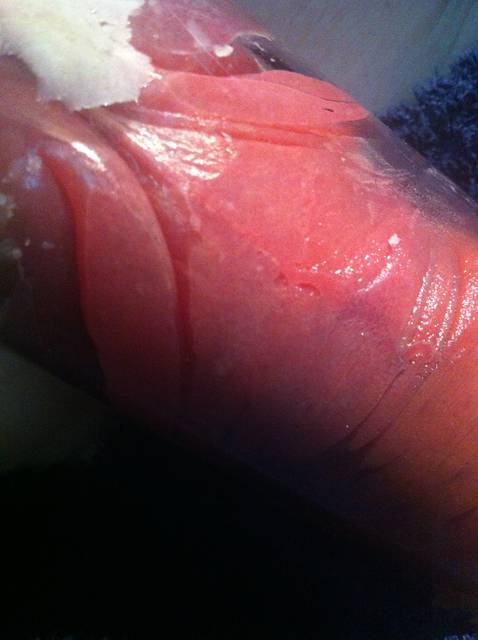 IMG_0767.JPG - RATCVAC