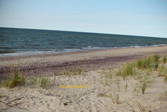 Ja jednak znalazłam milutkie miejsce na leżing-smażing :D