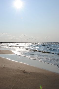 DSC_7001.JPG