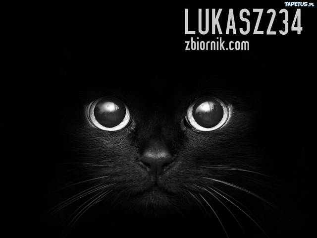lukasz234