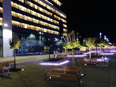 IMG_5667.jpg