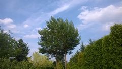 WP_20150725_002.jpg