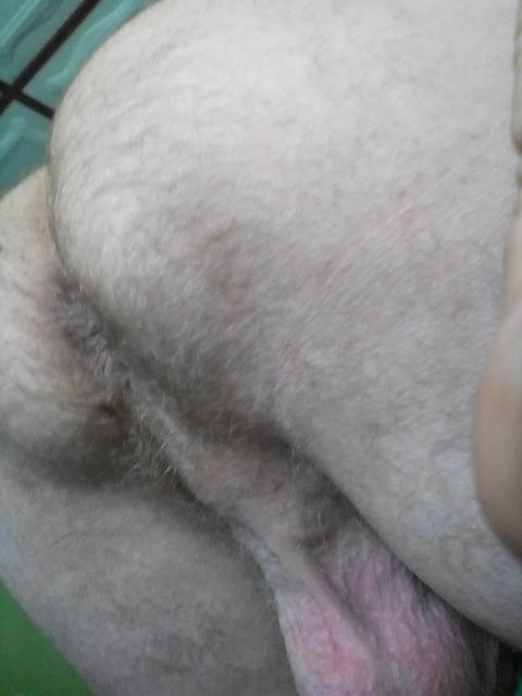 IMG_20150725_141451.jpg - bolek467