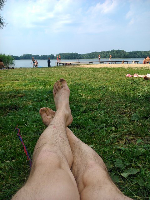 DSC_6970.jpg - picior_28