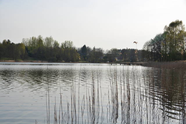 DSC_0866.JPG - ziut1984