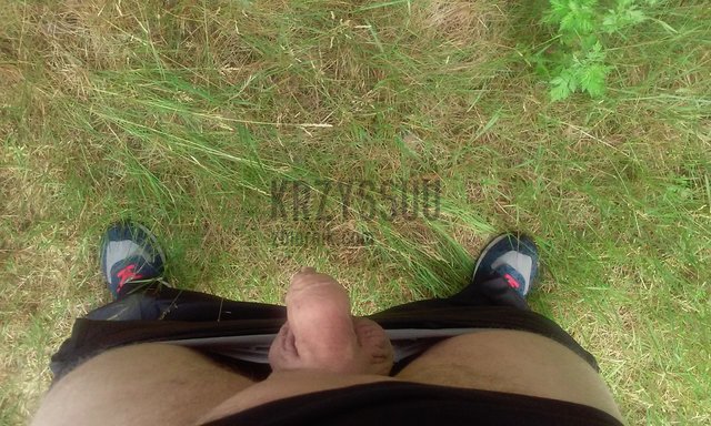 20150622_101744.jpg - krzyssuu