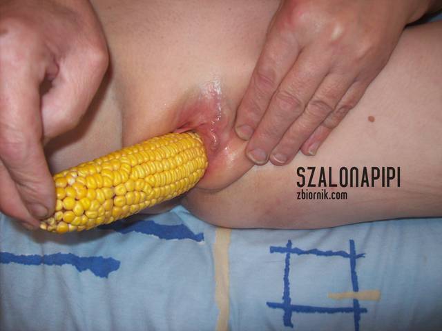 100_2019.JPG - szalonapipi