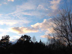 Znalezione w archiwum 