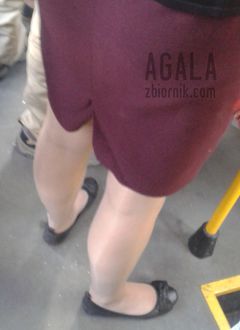 20150821_8v.jpg