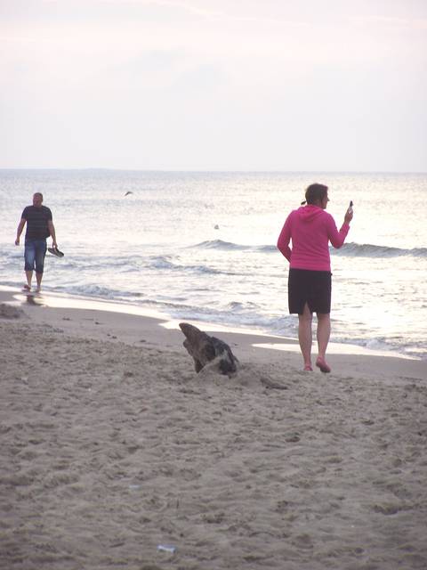 100_3803.JPG - patyk121