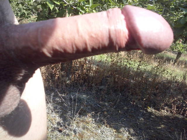 CAM00063[1].jpg - wlkppl