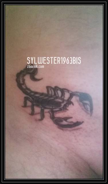 20150828_151203.jpg - sylwester1963bis