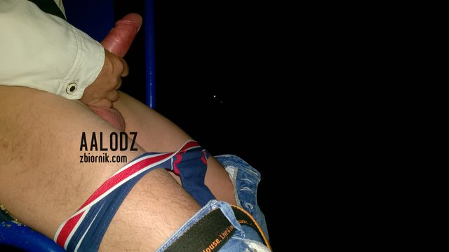 WP_20150828_028.jpg - aalodz