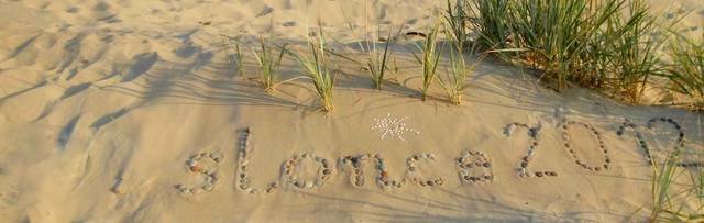 Tło :) - slonce2012