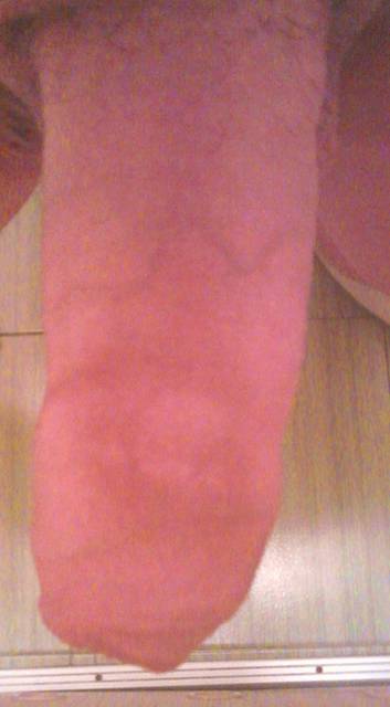 sex 021.jpg - medion8301