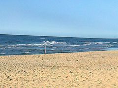 Piaski 2015-końcówka sierpnia ,wej.nr.11