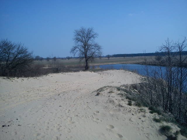 DSC00199.JPG - fafik2666