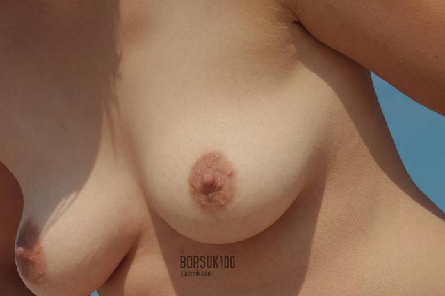 IS_DSCI5622.jpg - BORSUK100