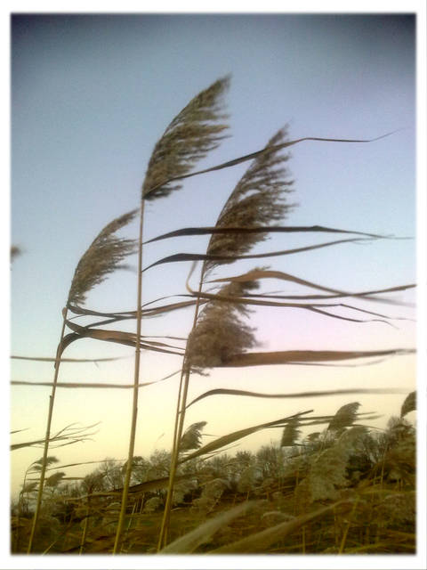 Zdjęcie0088.jpg - Argument73