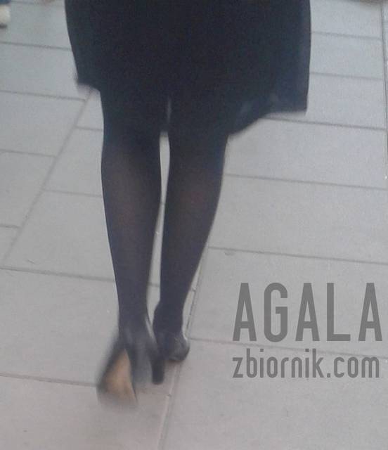 20150909_22v.jpg - AGALA