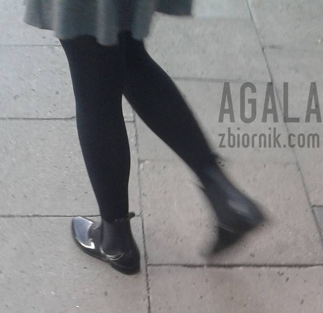 20150909_7cz.jpg - AGALA