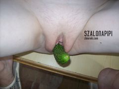 100_2084.JPG