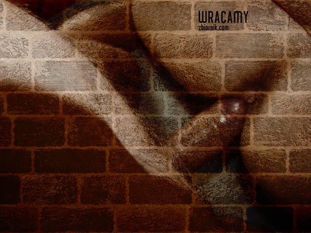 2015-14-9--209.jpg - wracamy