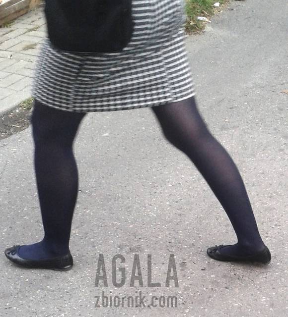 20150916_21kol.jpg - AGALA