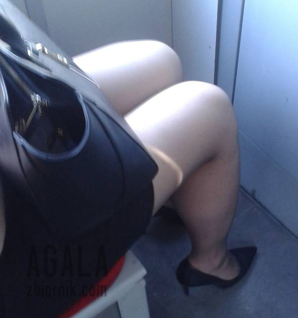 20150916_12v.jpg - AGALA