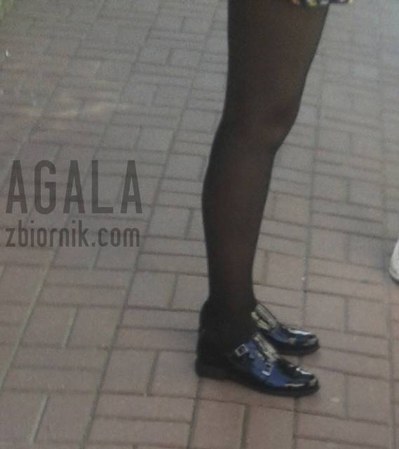 20150917_16cz.jpg - AGALA