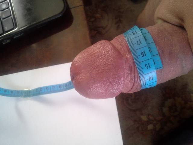 20150512_171033.jpg - WiaStan