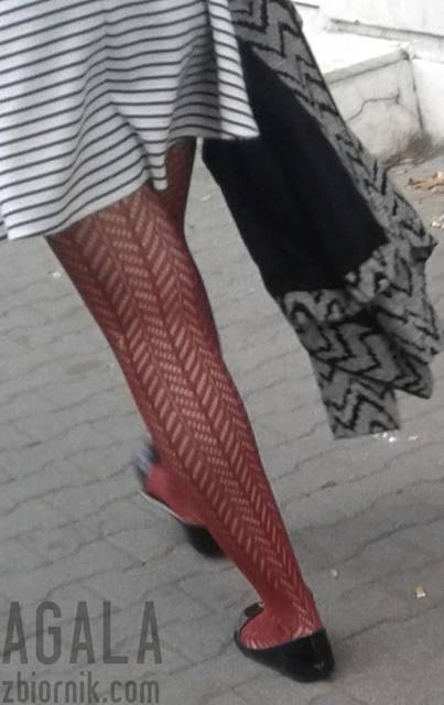 20150919_1odj.jpg - AGALA