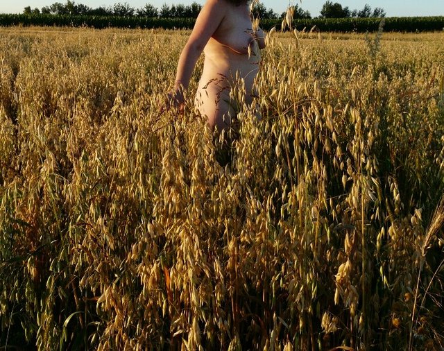 wenus....(1).jpg - jaiwenus