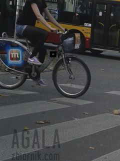 20150920_1cz.jpg