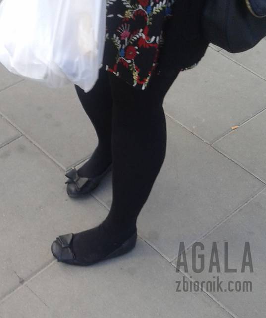 20150922_16cz.jpg - AGALA