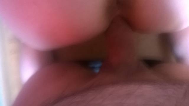 WP_20150923_036.jpg - cobrapara